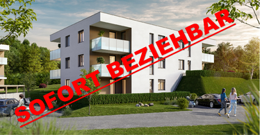 Losenstein XI Projektbild