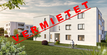 Steyregg - Pulgarn III - Haus 5 u. 6 Projektbild