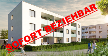 Laussa V Projektbild